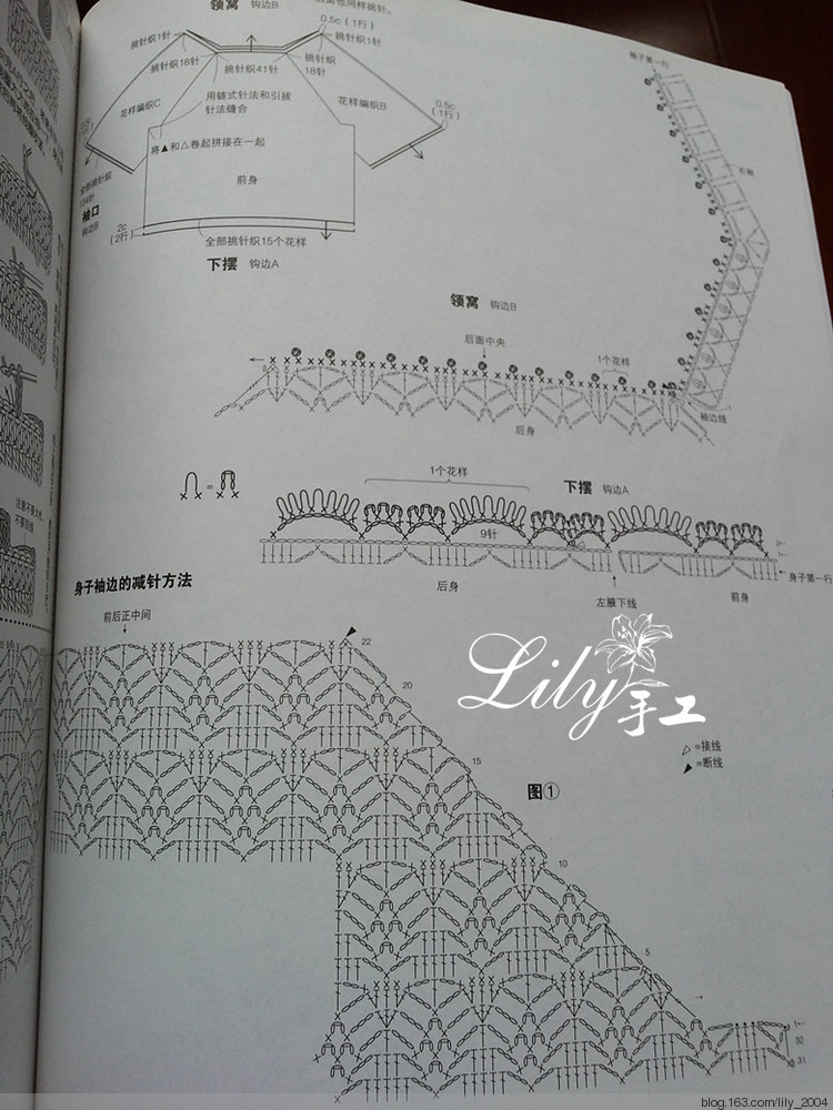 【Lily手工】---茵茵---愛(ài)爾蘭蕾絲小罩衣 - Lily - Lily的手工編織天地