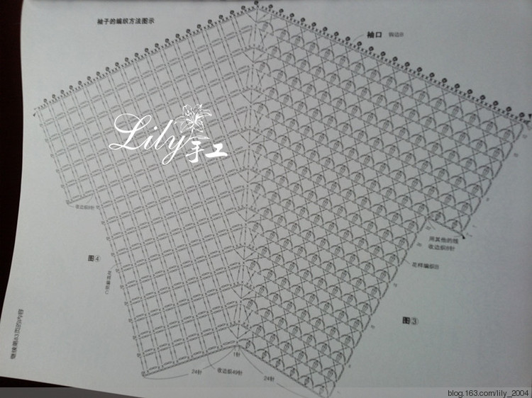 【Lily手工】---茵茵---愛(ài)爾蘭蕾絲小罩衣 - Lily - Lily的手工編織天地