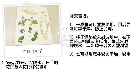 押花課堂：押花的工具與使用方法（圖解）