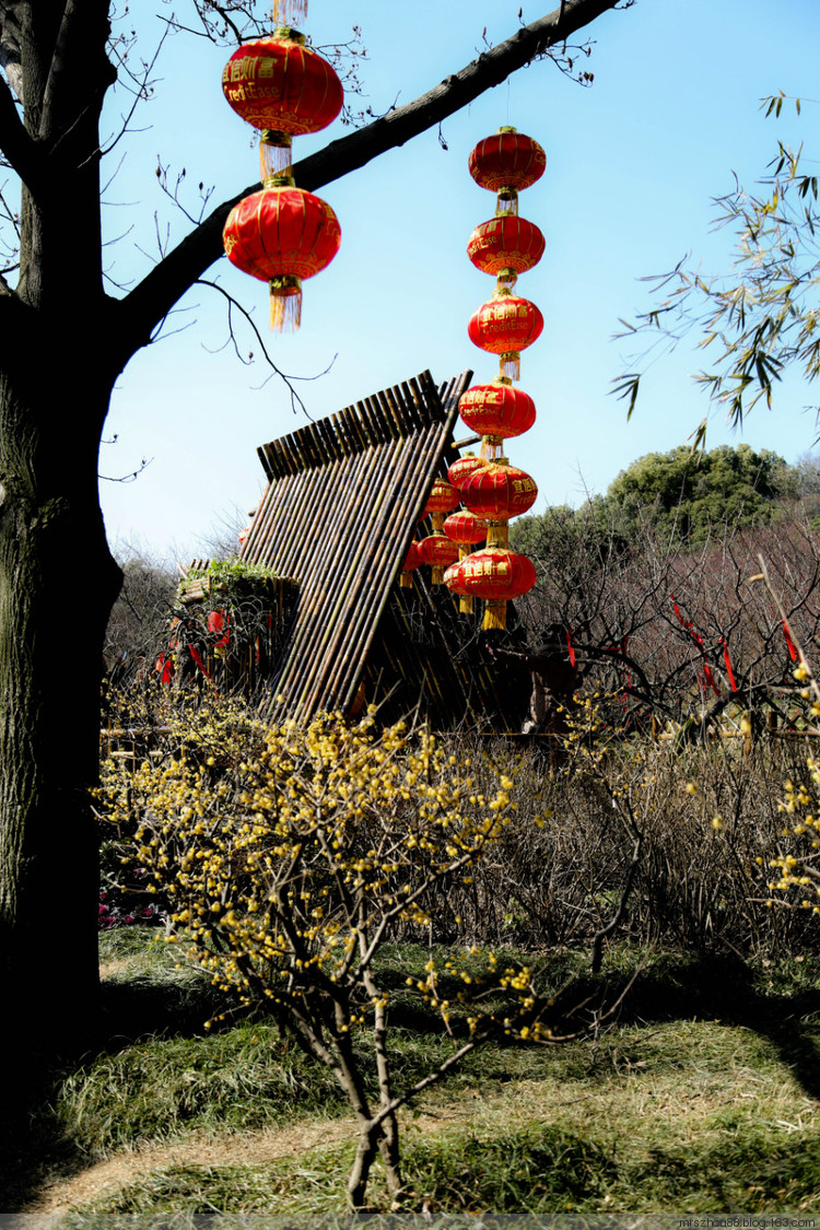 無錫--梅園 - 周太靚湯 - 周太靚湯