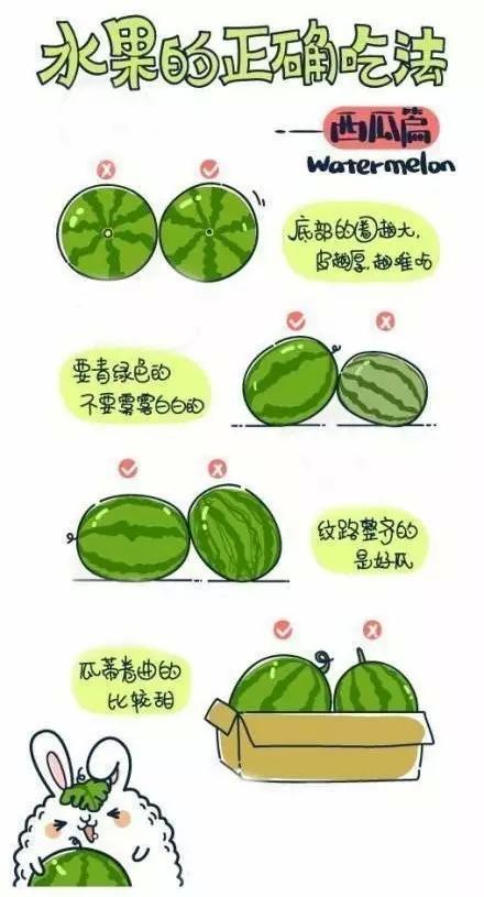 如何簡單快速又完美的吃掉平時(shí)比較難搞的水果呢？ - 緣分