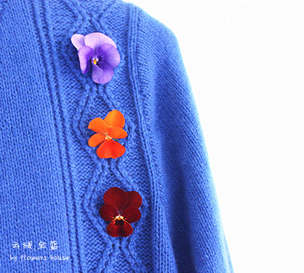 水瓶座的不惑藍 - 花滿樓 - 花滿樓