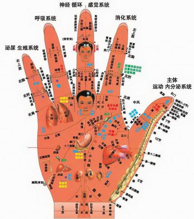 值得收藏的146個偏方（轉(zhuǎn)） - 輕羽無痕 - 羽毛的蝸居