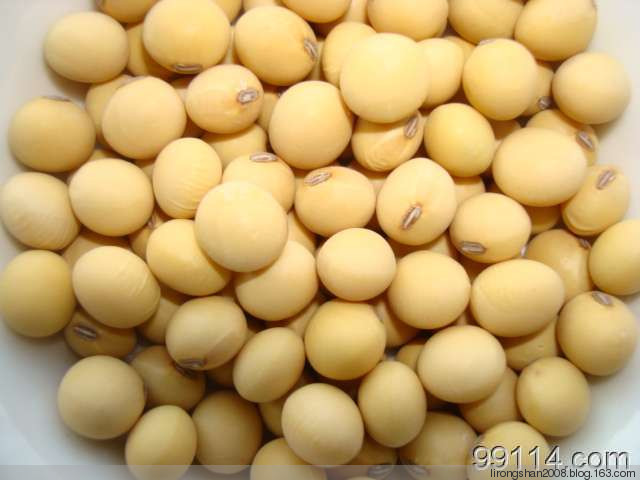 美味黃豆醬的家庭制作方法—— - 一統(tǒng)江山 - 一統(tǒng)江山的博客