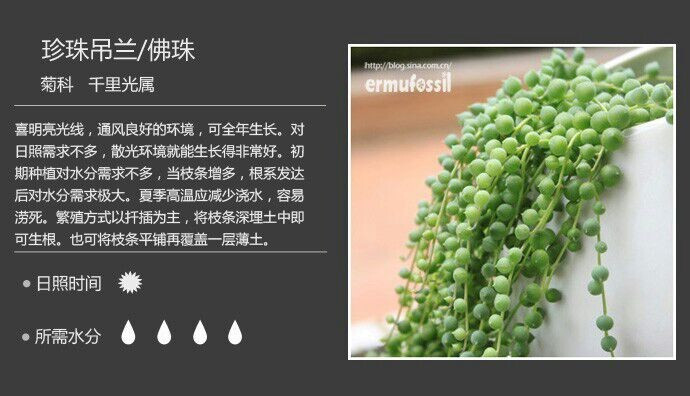多少人曾愛你美麗的瞬間 - 楚天 - 楚天·海闊天空
