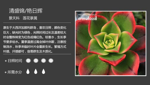 透 - 楚天 - 楚天·海闊天空