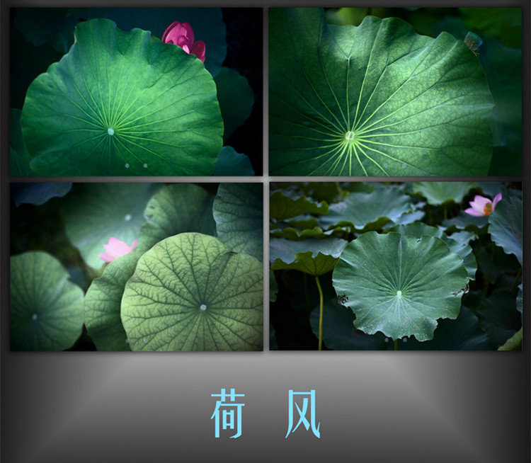 夏日小清新鉤衣——荷風(fēng)（2014.29） - 淺淺柏伊 - 淺淺柏伊