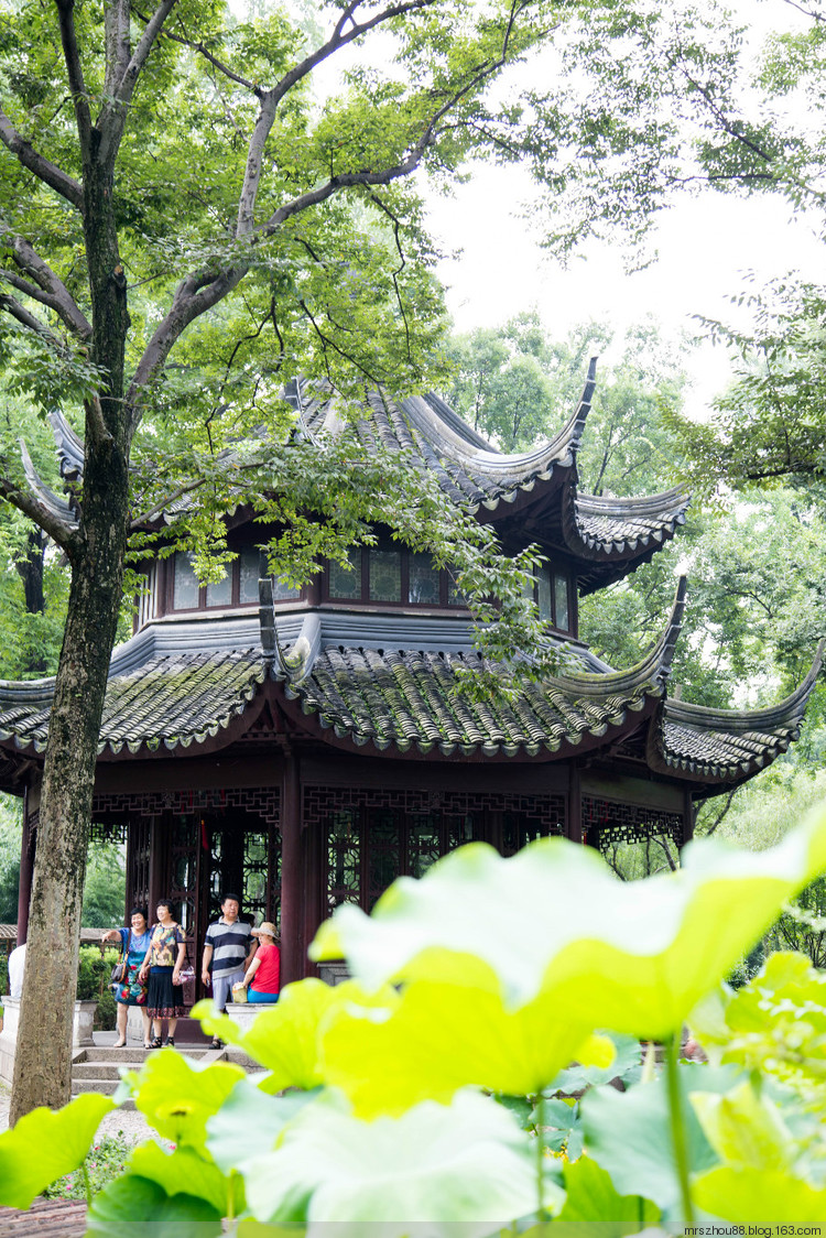 蘇州拙政園--酷暑中的詩情畫意 - 周太靚湯 - 周太靚湯