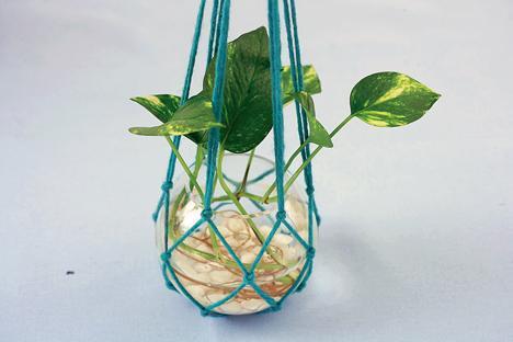 轉(zhuǎn)----DIY手工制作懸掛綠植 - 快樂老媽 - 快樂老媽的博客