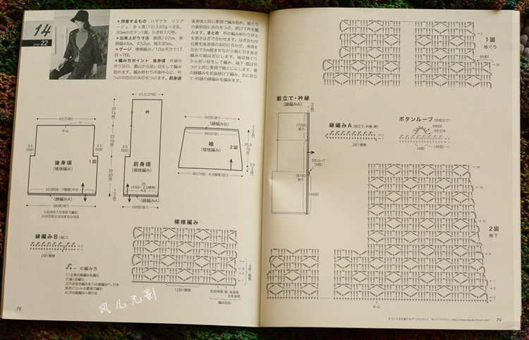 叢林 - 風(fēng)兒無(wú)影 - 風(fēng)兒無(wú)影的博客