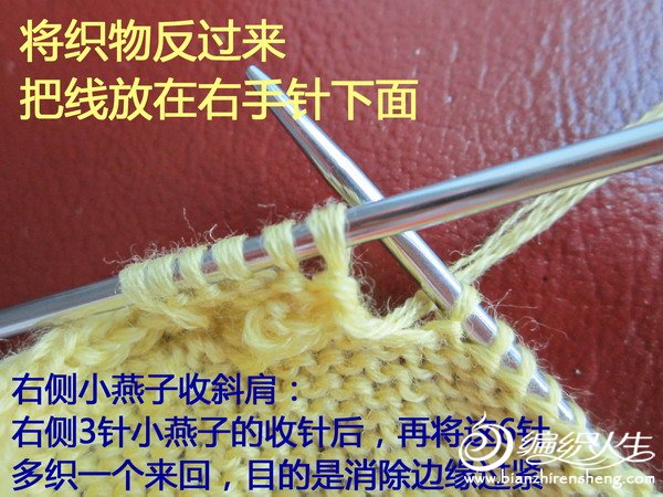 教你小燕子收斜肩 - 我愛十畝地 - 我愛十畝地的博客