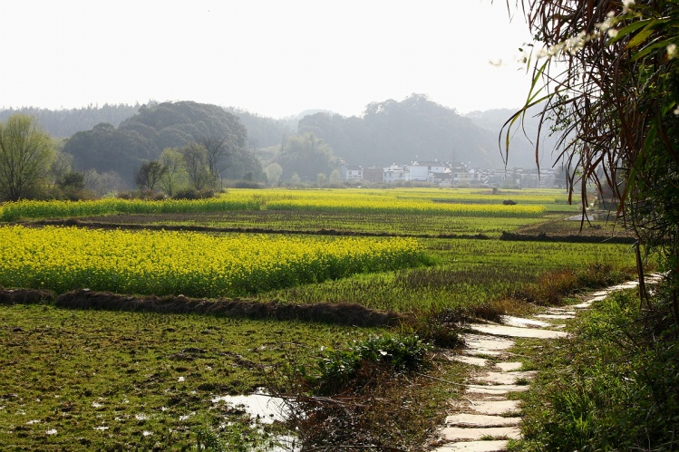 中國最美的鄉(xiāng)村婺源____延村 - 江南風 - 唐古拉山口