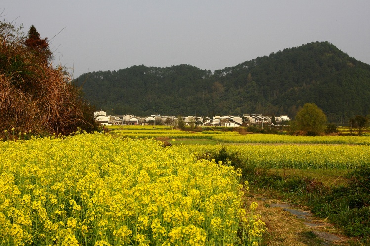 中國最美的鄉(xiāng)村婺源____延村 - 江南風 - 唐古拉山口