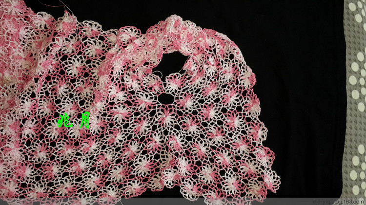 菊花小外披筆記 - cjc-ylq - 兆月的博客