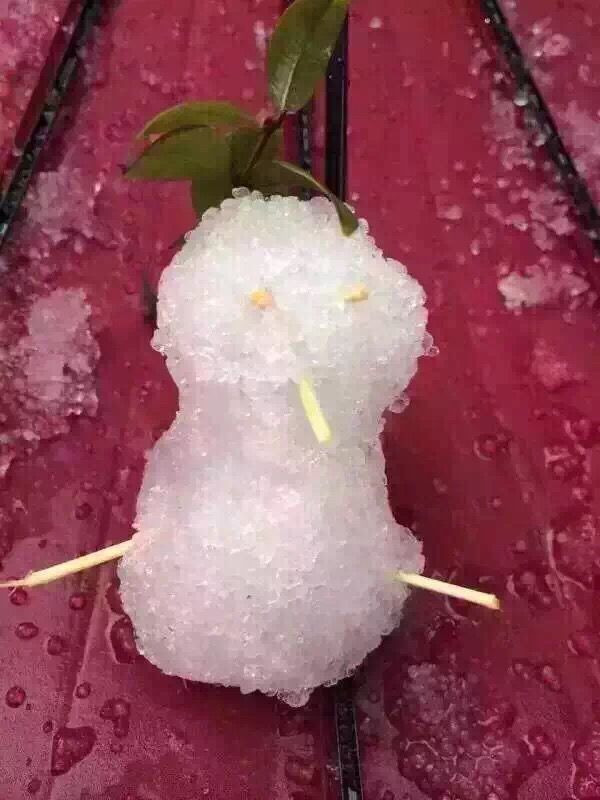 【天南海北】廣州人是這樣堆雪人的～～ - hjg631 - 哈軍工631隊(duì)的博客
