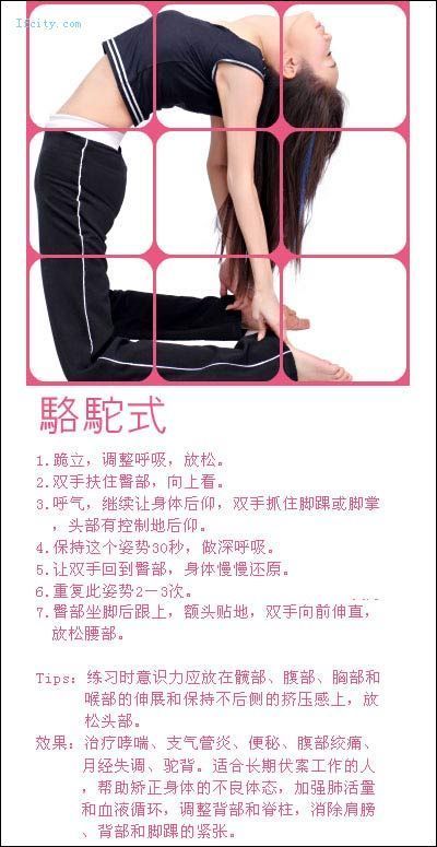 引用 教你在家做瑜珈，很有效的！ - ≡＠⊥＠≡ - 木蘭的空間