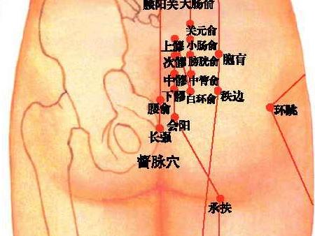 爛在肚子里的救命知識(shí)! - 明子 - 工人 明子 的博客