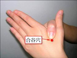 爛在肚子里的救命知識(shí)! - 明子 - 工人 明子 的博客 圖片