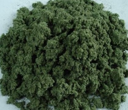 艾葉的吃法與功效大全 - 楚地狂叟 - 聞道—悟道 艾葉的吃法與功效大全 - 楚地狂叟 - 聞道—悟道