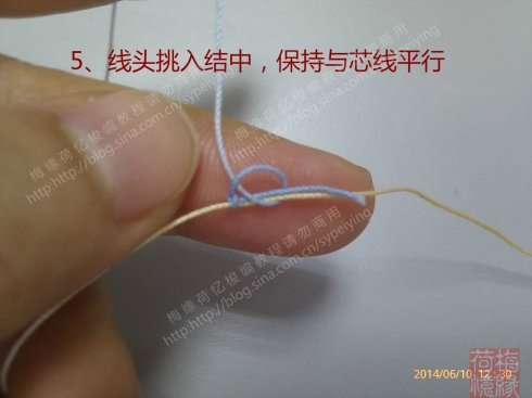 [轉(zhuǎn)載]【原創(chuàng)教程】梅緣荷憶梭編教程之埋線法藏線 - 跳動的毛絨 - 跳動的毛絨博客