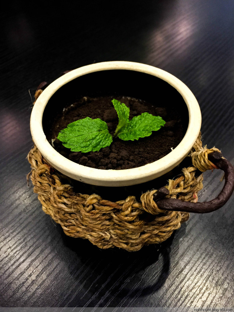 藝術(shù)和美食相遇的一刻 - 周太靚湯 - 周太靚湯