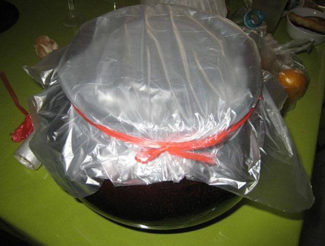 這樣腌出來的黃瓜比肉還好吃，趕緊學(xué)起來！ - 楓兒 - 楓葉ㄣ飄零