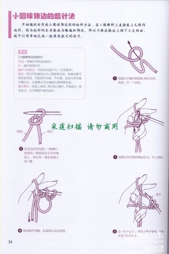 春天里的鏤空大葉子