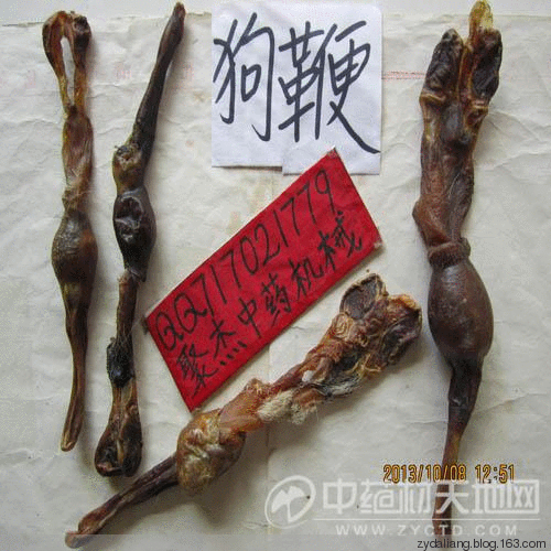 只要是腎炎 一副藥必好 - 瀛子 - 瀛の小箋