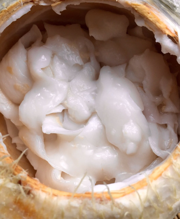 2015年10月12日 - 周太靚湯 - 周太靚湯