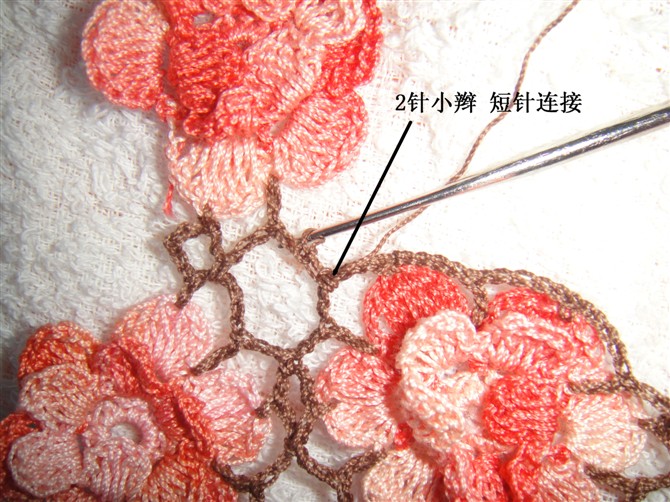 單元花連接  一定要看的哦 哈哈 - 青竹的博客 - 青竹的博客