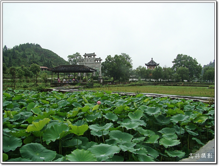 【轉(zhuǎn)載】小橋流水人家的李坑〔原創(chuàng)攝影〕 - 蘋(píng)果園 - 蘋(píng)果園