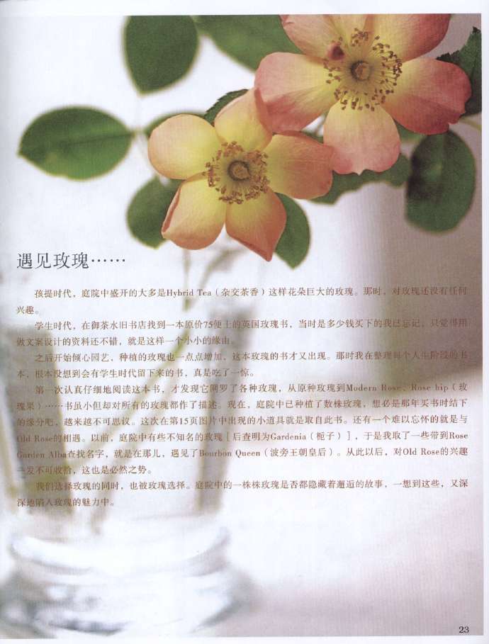 9268-22.jpg
