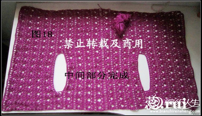 qiaorui作品~紫露草~披肩式馬甲~附教程 圖解。點開即見。