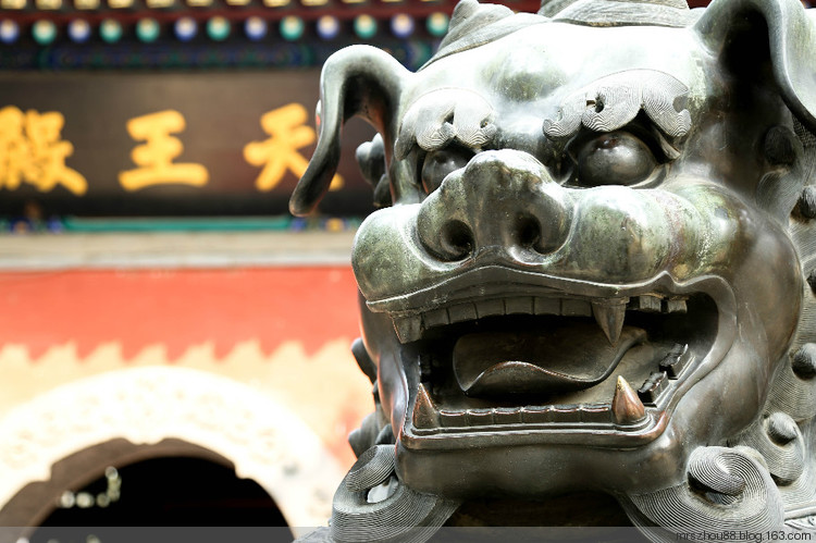 北京--法源寺，那玉蘭、那樹、那僧人們 - 周太靚湯 - 周太靚湯