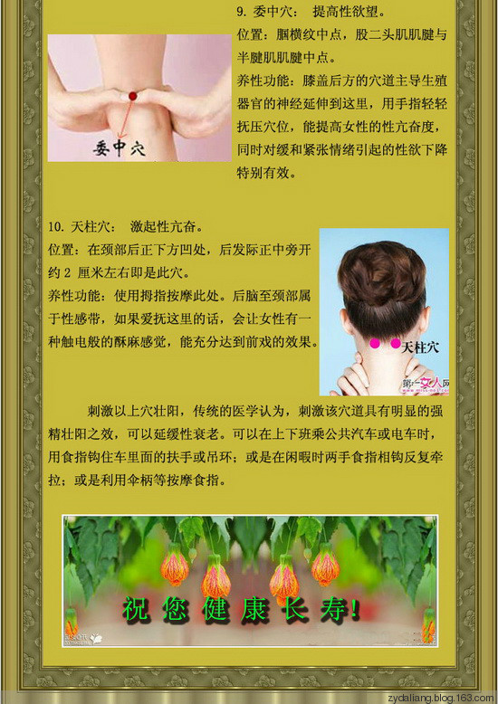 新發(fā)現的壯陽穴位 - 瀛子 - 瀛の小箋