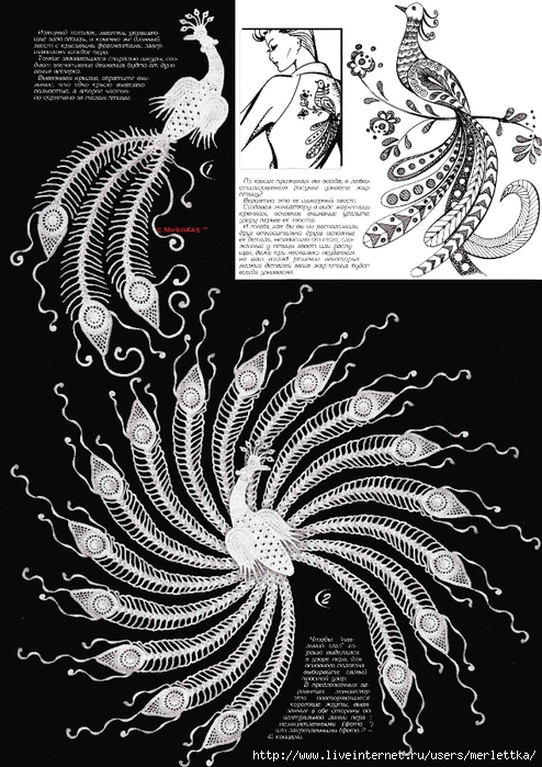 愛爾蘭花鳳飛飛之三 - 柳芯飄雪 - 柳芯飄雪的博客 0Р°1Р°1 (494x700, 301Kb)