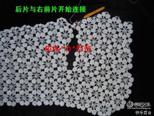 快樂(lè)百合老師－－梅花小坎整花(20朵)分袖教程 - 清水秋千 - 清水秋千的小窩