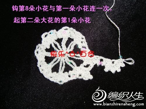 快樂(lè)百合老師－－梅花小坎整花(20朵)分袖教程 - 清水秋千 - 清水秋千的小窩