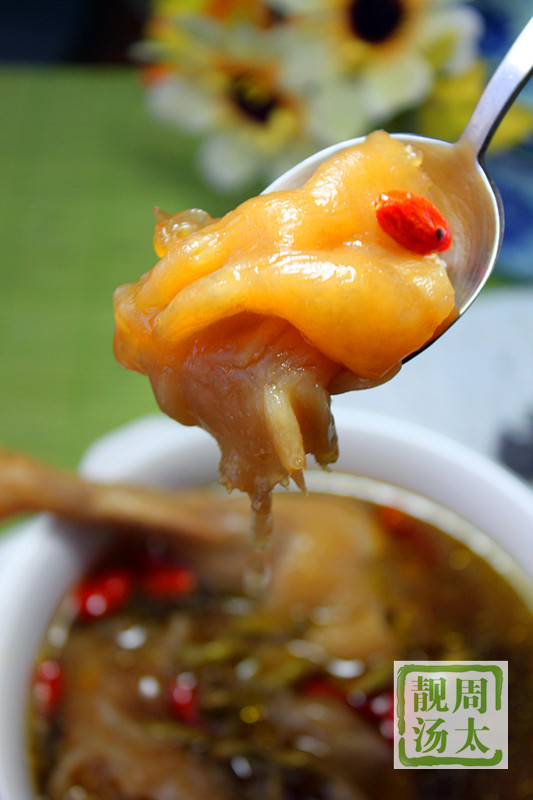 花膠石斛燉老雞--如此多膠 - 周太靚湯 - 周太靚湯