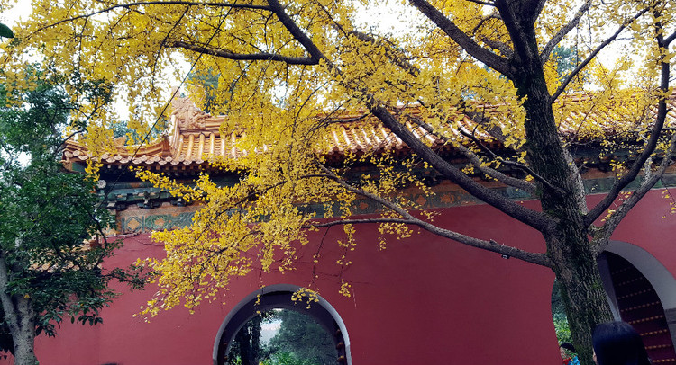 2015.11.20-22日南京聚會(huì)——“行” - ty - ty 的 編織博客