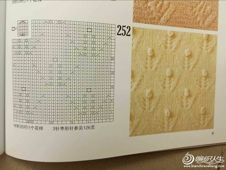 美大衣 - 鳳凰 - 1657085783的博客