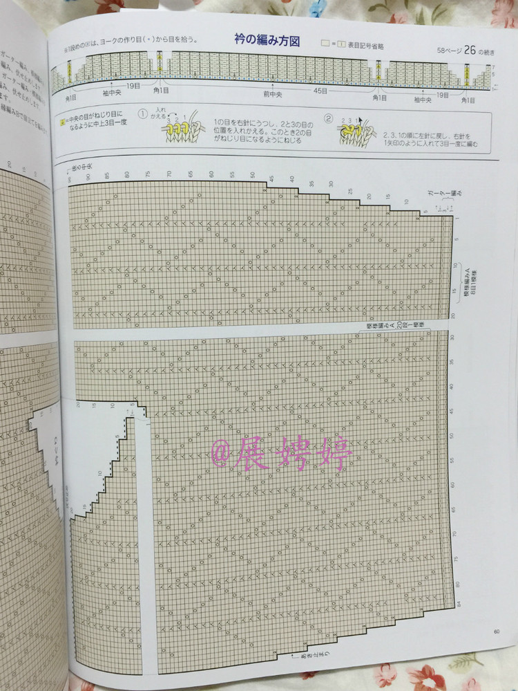 日亞新書(shū)：今編春夏2015 - 展娉婷 - 展娉婷的鉤針世界