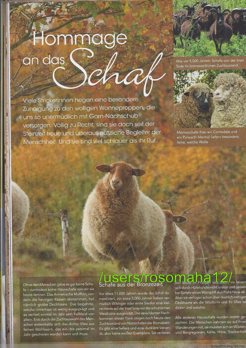 Stricktrends №3 2014 - 紫蘇 - 紫蘇的博客
