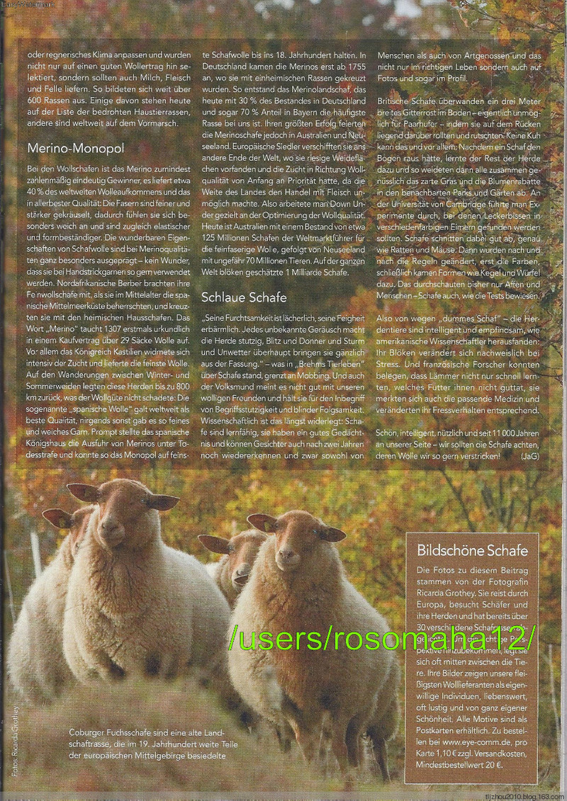 Stricktrends №3 2014 - 紫蘇 - 紫蘇的博客
