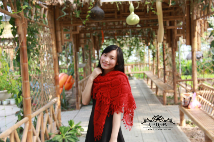【A-Lin林】紅妝--經(jīng)典菠蘿花披肩201520 - A-Lin林 - A-Lin的手工博客
